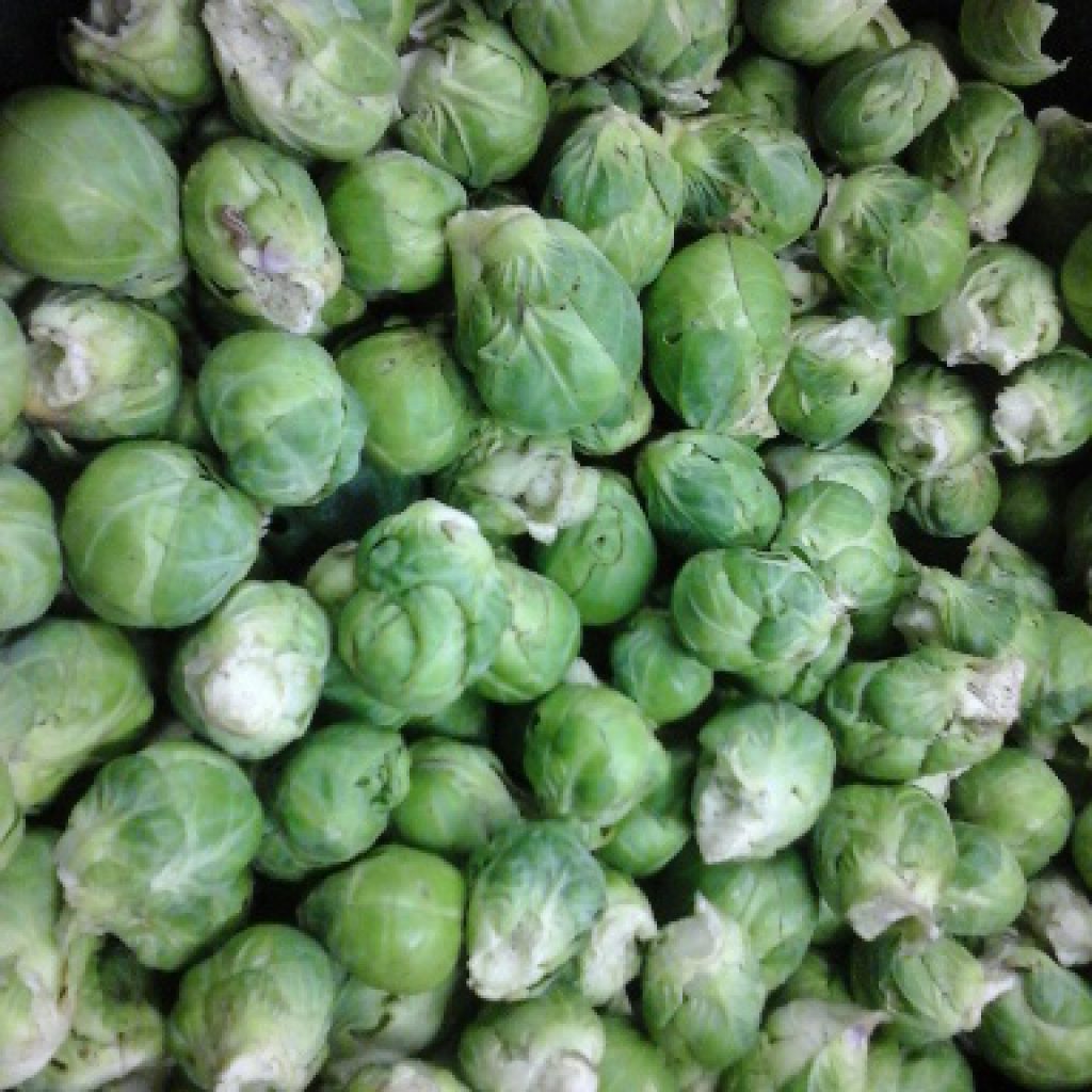 Spruitjes